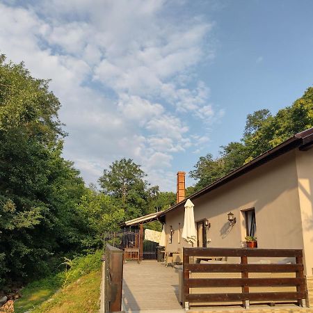 Casa De Vacanta Radu Novaci-Străini Exteriér fotografie