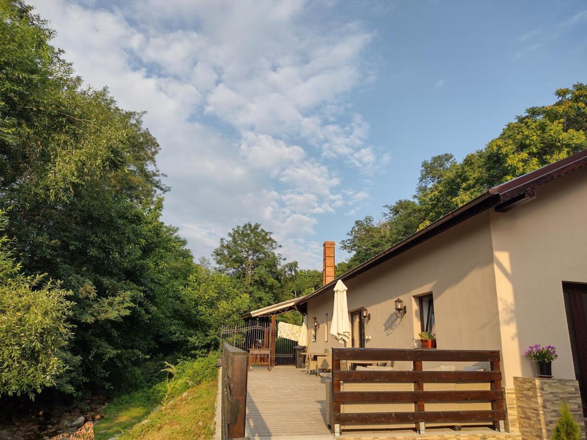 Casa De Vacanta Radu Novaci-Străini Exteriér fotografie