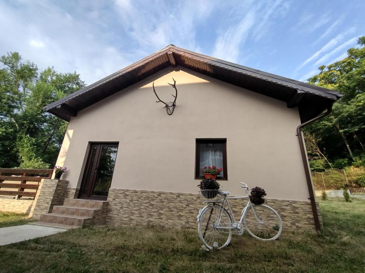 Casa De Vacanta Radu Novaci-Străini Exteriér fotografie