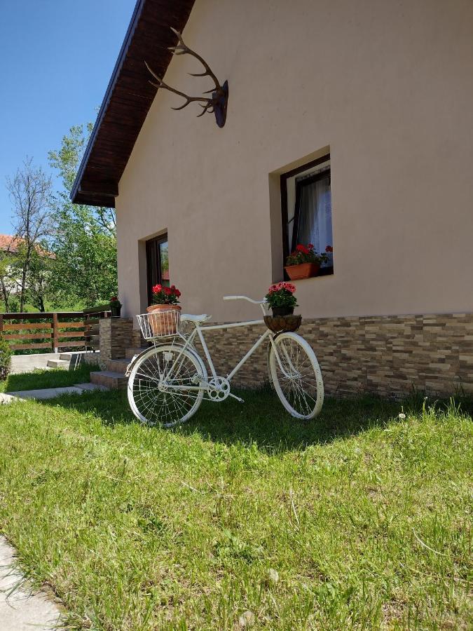 Casa De Vacanta Radu Novaci-Străini Exteriér fotografie