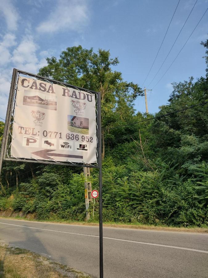 Casa De Vacanta Radu Novaci-Străini Exteriér fotografie